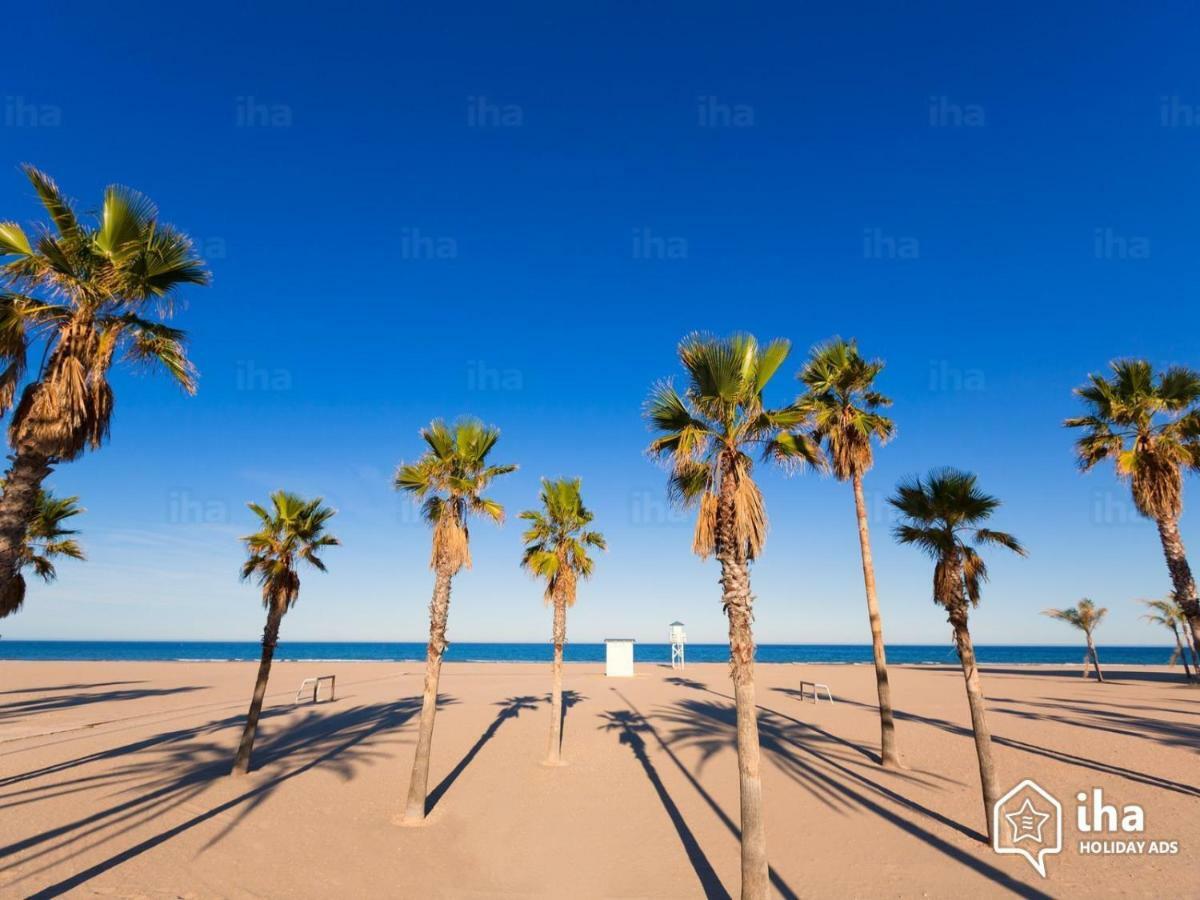 Apartamento Con Piscina Y Parking Apartment Gandia Ngoại thất bức ảnh